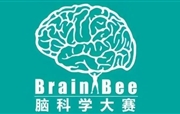 喜報|祝賀我校國際部周一鳴同學在2025年Brain Bee腦科學大賽中榮獲全國一等獎!